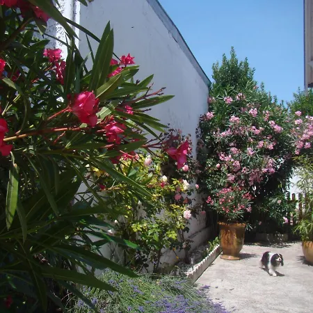 Les Rosiers * Royan